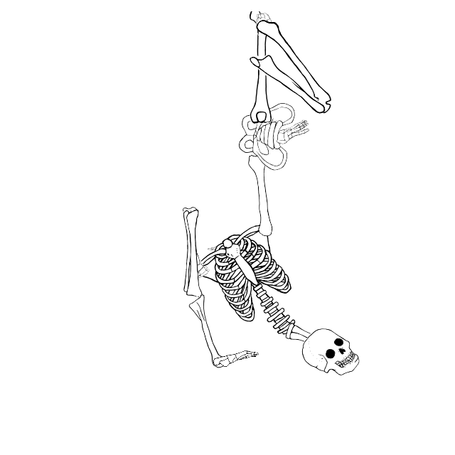 Dem bones dem bones dem – dry bones!