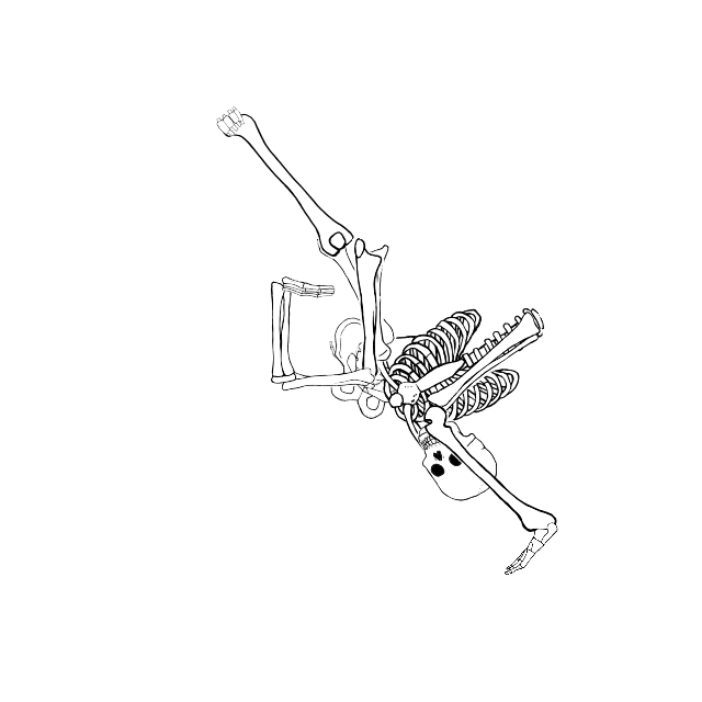 Dem bones dem bones dem – dry bones!