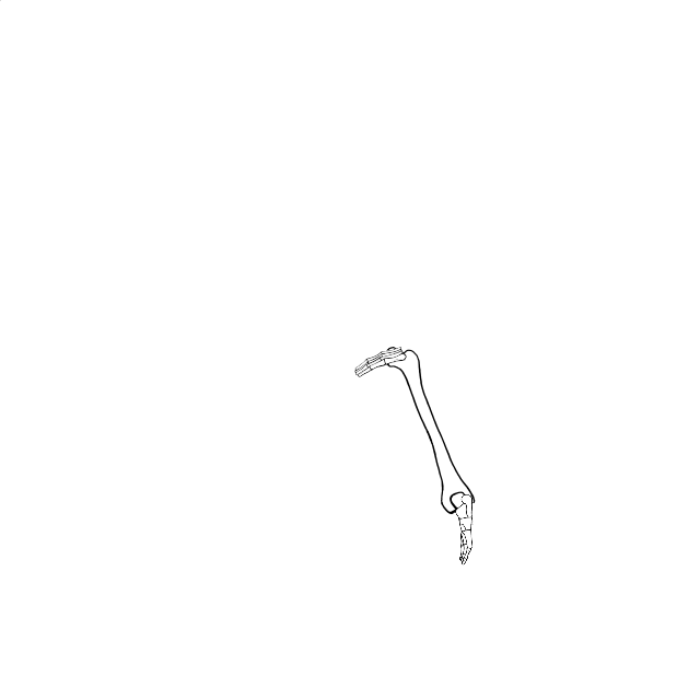Dem bones dem bones dem – dry bones!
