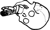 Dem bones dem bones dem – dry bones!