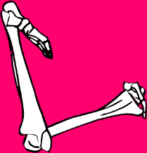 Dem bones dem bones dem – dry bones!