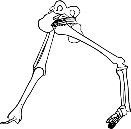 Dem bones dem bones dem – dry bones!
