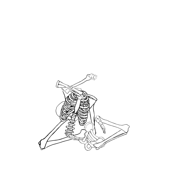 Dem bones dem bones dem – dry bones!