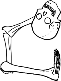 Dem bones dem bones dem – dry bones!
