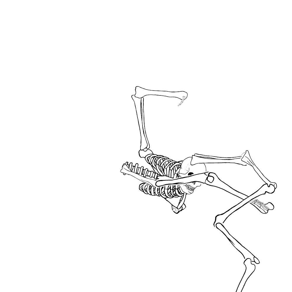 Dem bones dem bones dem – dry bones!