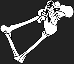 Dem bones dem bones dem – dry bones!