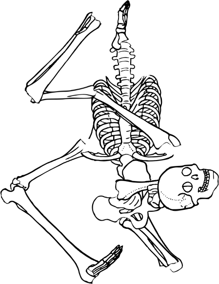 Dem bones dem bones dem – dry bones!