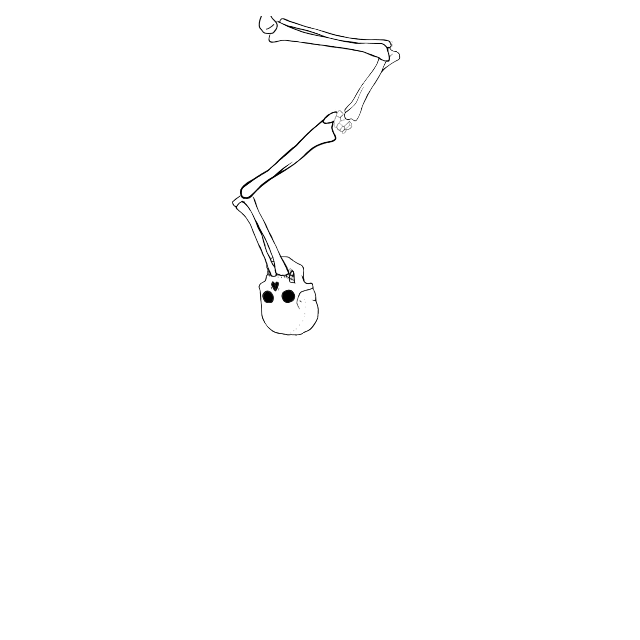 Dem bones dem bones dem – dry bones!