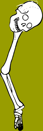 Dem bones dem bones dem – dry bones!