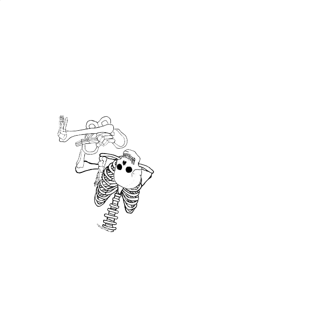 Dem bones dem bones dem – dry bones!