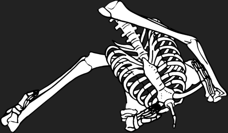 Dem bones dem bones dem – dry bones!