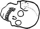 Dem bones dem bones dem – dry bones!