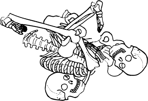 Dem bones dem bones dem – dry bones! Dem bones dem bones dem – extra bones!