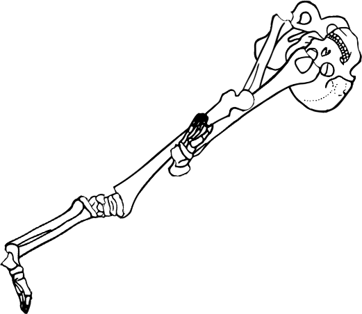 Dem bones dem bones dem – dry bones!