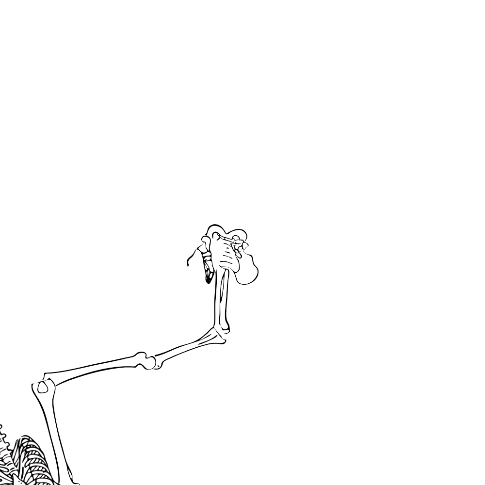 Dem bones dem bones dem – dry bones!