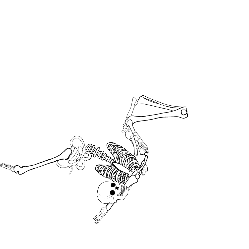 Dem bones dem bones dem – dry bones!