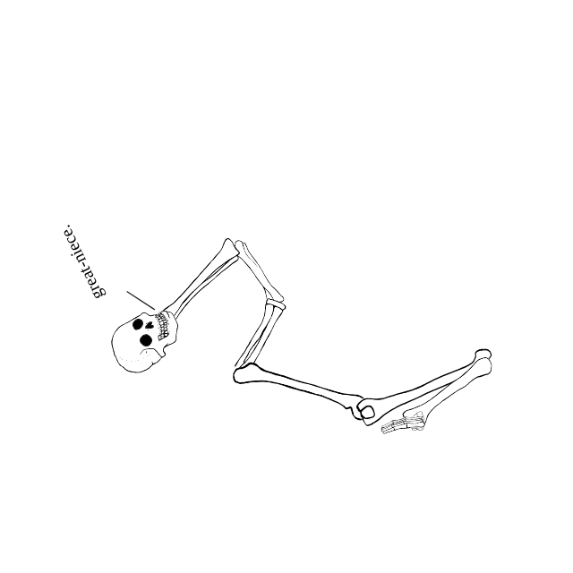 Dem bones dem bones dem – dry bones!
