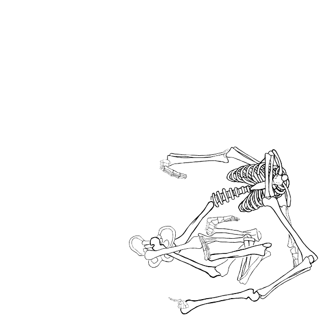 Dem bones dem bones dem – dry bones!