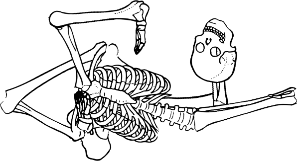 Dem bones dem bones dem – dry bones!