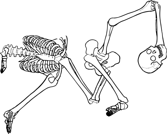 Dem bones dem bones dem – dry bones!