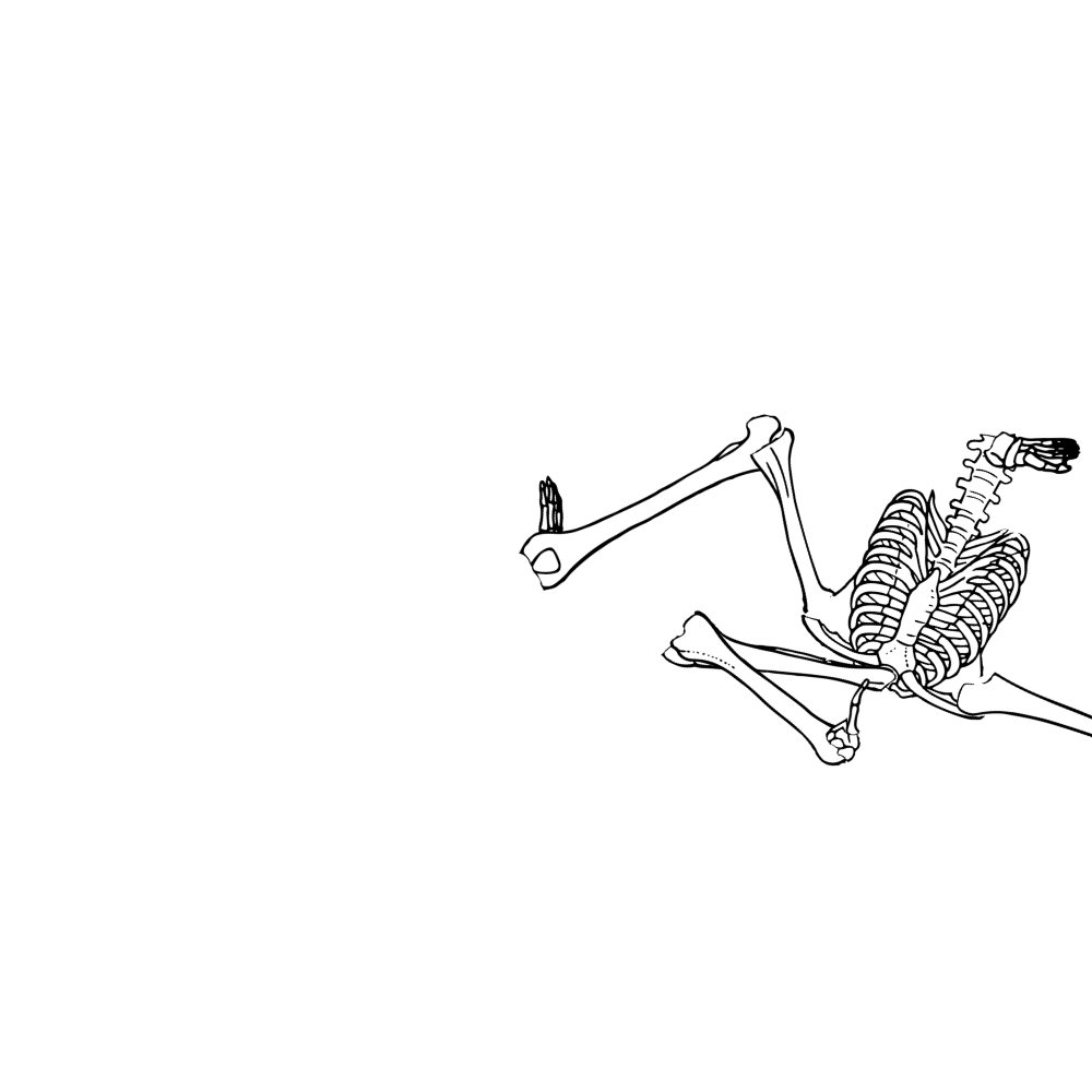 Dem bones dem bones dem – dry bones! Dem bones dem bones dem – extra bones!