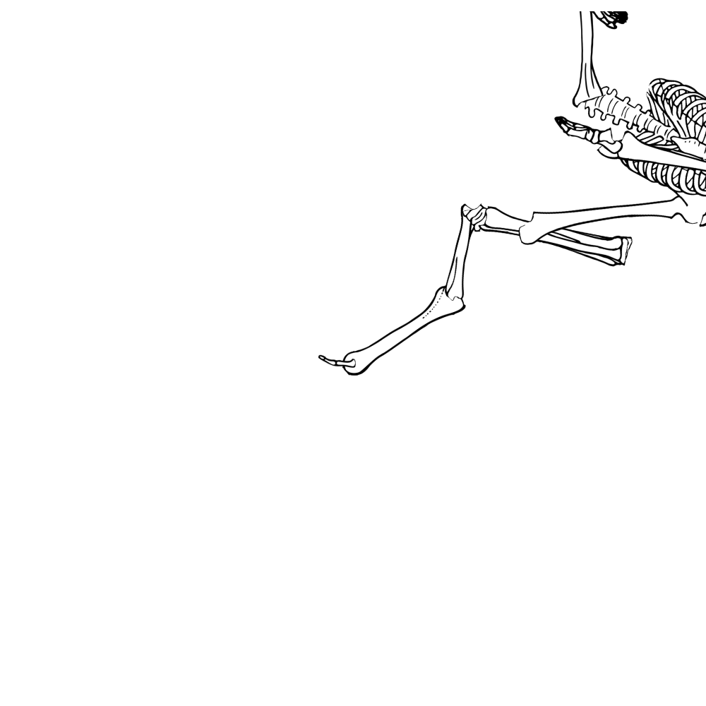 Dem bones dem bones dem – dry bones!