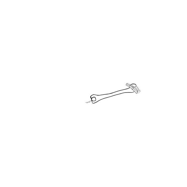 Dem bones dem bones dem – dry bones!