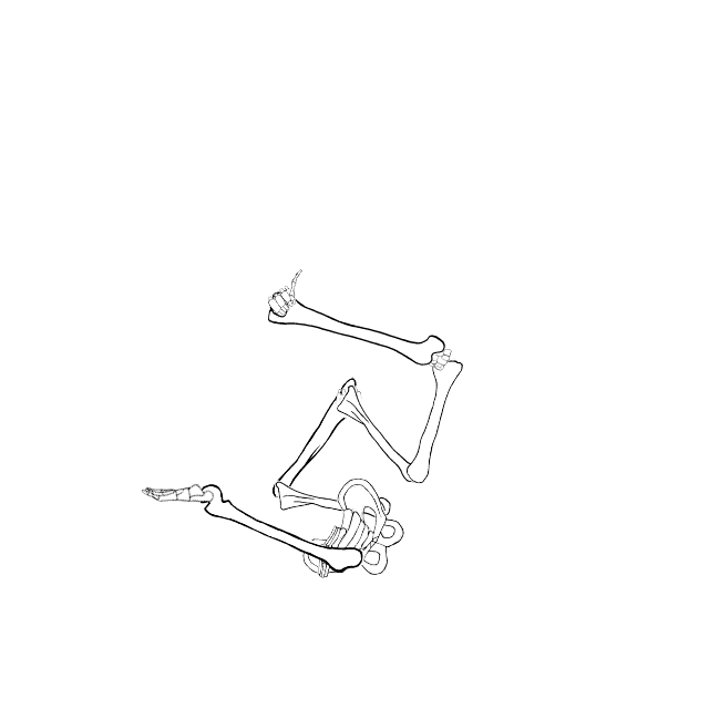 Dem bones dem bones dem – dry bones!
