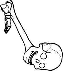 Dem bones dem bones dem – dry bones!