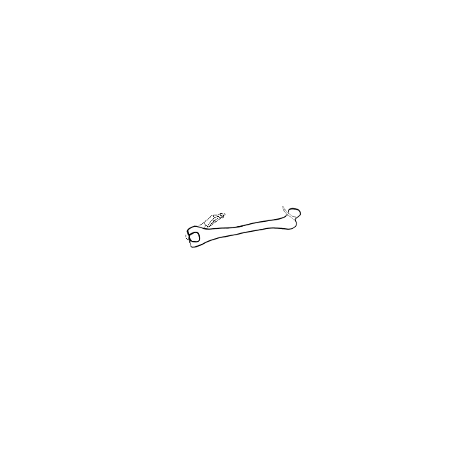 Dem bones dem bones dem – dry bones!