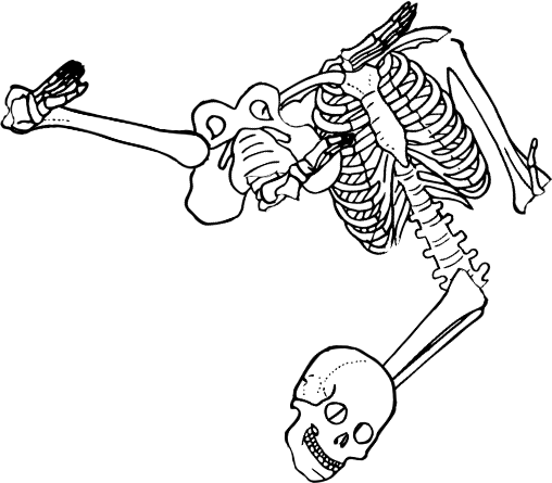 Dem bones dem bones dem – dry bones!