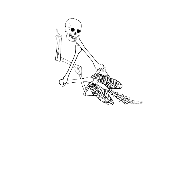 Dem bones dem bones dem – dry bones!