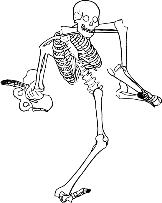 Dem bones dem bones dem – dry bones!