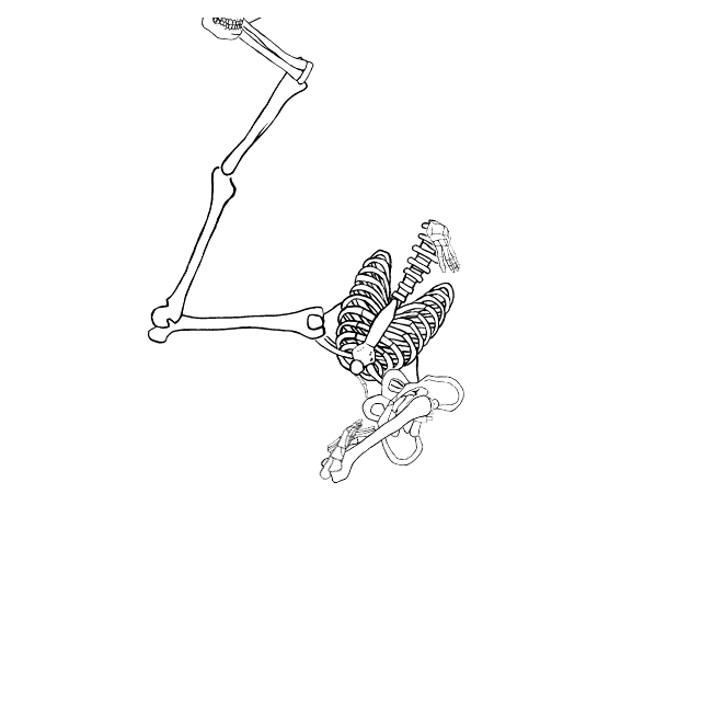 Dem bones dem bones dem – dry bones!