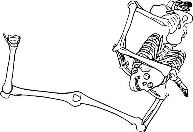 Dem bones dem bones dem – dry bones!