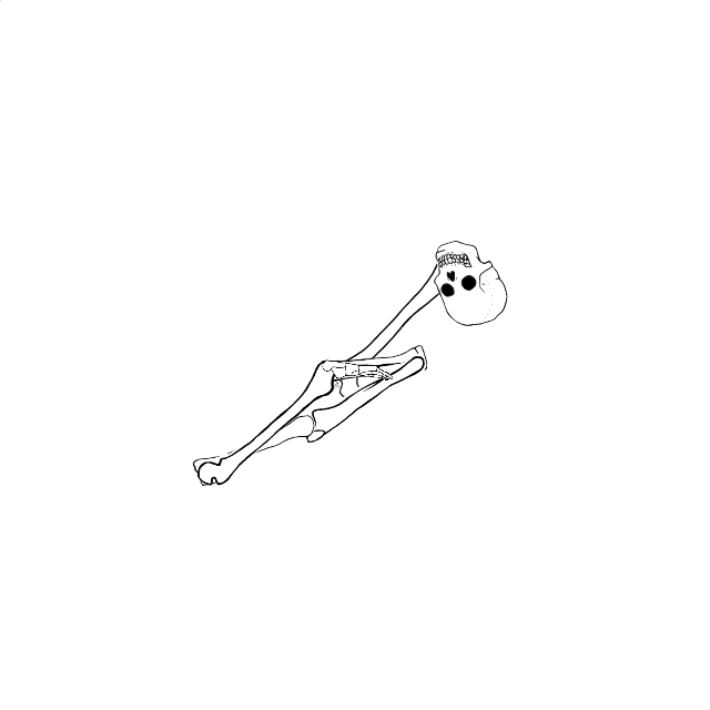 Dem bones dem bones dem – dry bones!