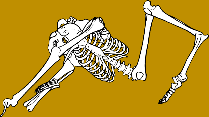 Dem bones dem bones dem – dry bones!