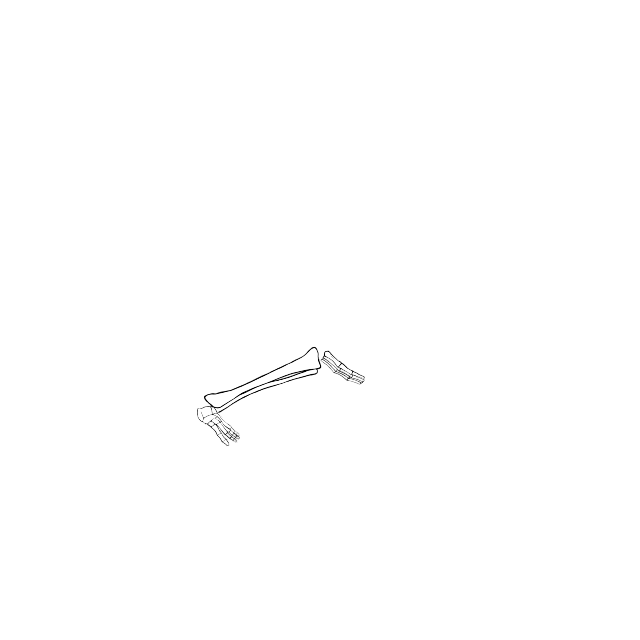 Dem bones dem bones dem – dry bones!