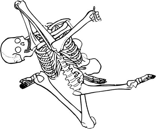 Dem bones dem bones dem – dry bones!