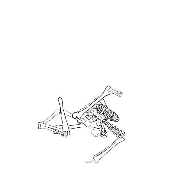 Dem bones dem bones dem – dry bones!