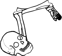 Dem bones dem bones dem – dry bones!