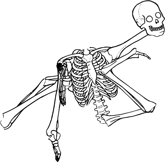 Dem bones dem bones dem – dry bones!