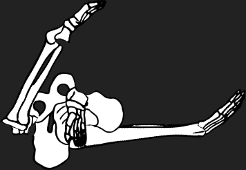 Dem bones dem bones dem – dry bones!