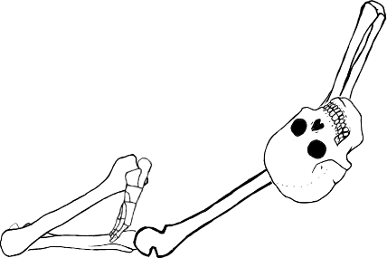 Dem bones dem bones dem – dry bones!