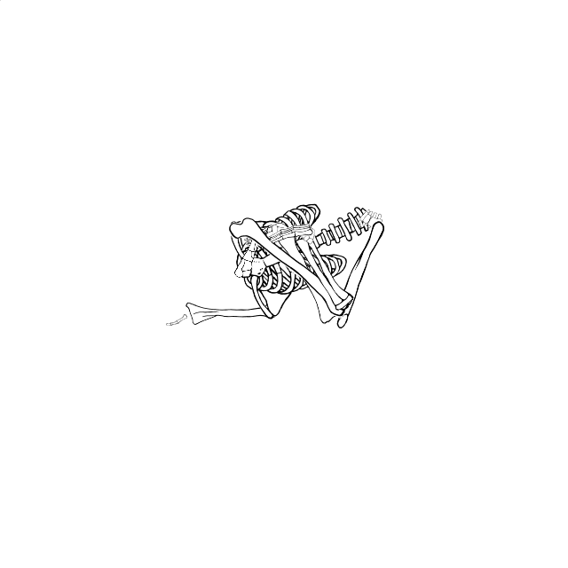 Dem bones dem bones dem – dry bones!