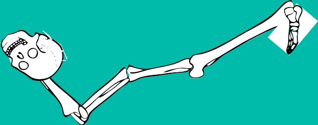 Dem bones dem bones dem – dry bones!