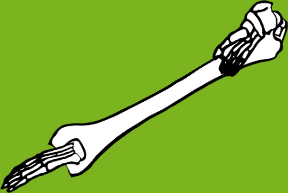 Dem bones dem bones dem – dry bones!