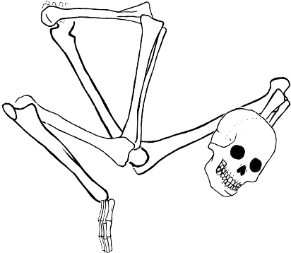 Dem bones dem bones dem – dry bones!