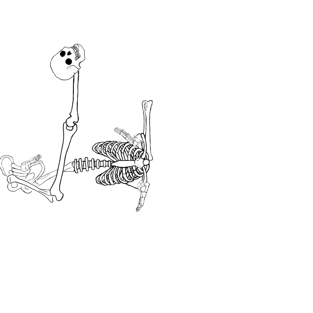Dem bones dem bones dem – dry bones!