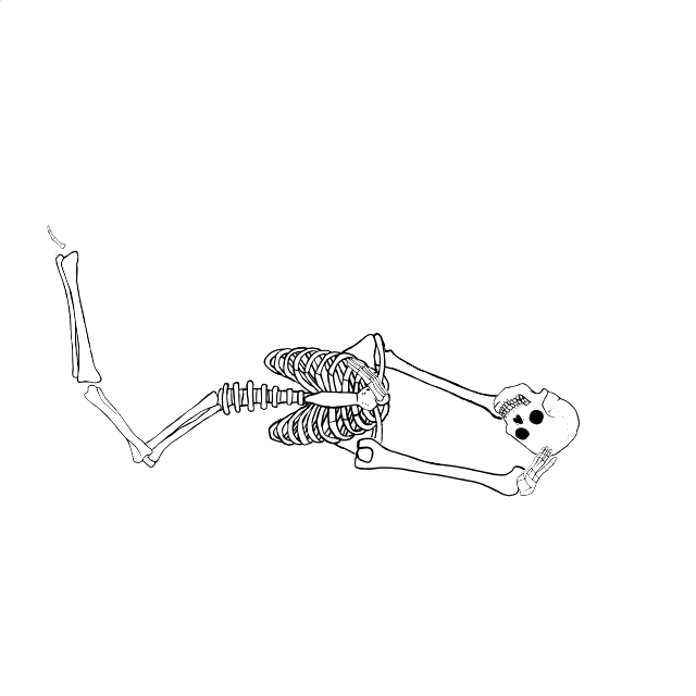 Dem bones dem bones dem – dry bones!
